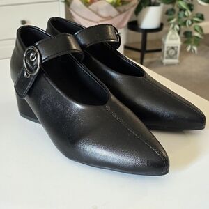 Fashion Mary Jane Elegant Black Pointed Toe Women's Shoes